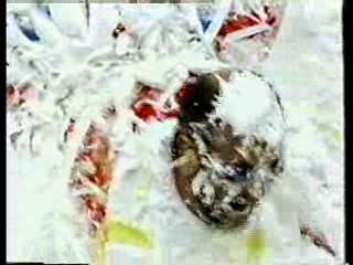 Soap, UK variety shows (s),  Custard Pie Record Attempt