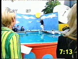 The Big Breakfast Show ( 3 shows)