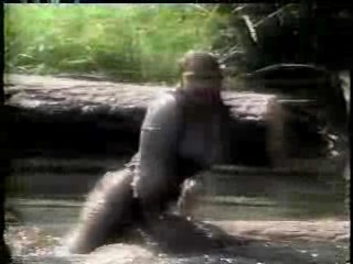 Wild West Showdown,  Baywatch