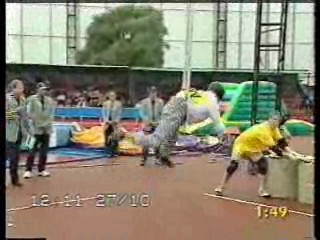 Live and Kicking,  Misc pies and messy