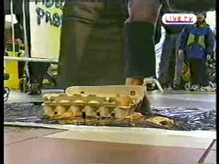 Indecent Proposals,  Noel's House Party