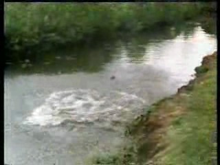 Benny Hill,  Charlie Caroli,  Crackerjack,  How Dare You