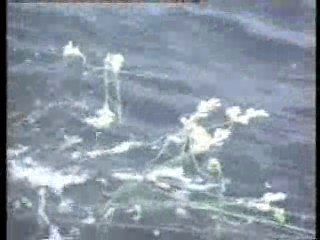 UK travel documentary,   Godspell,  Logans Run - tv series,  The Freddy Starr Show