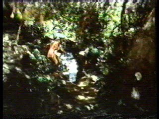 Logans Run (tv series),  Vega$,  BBC Documentary