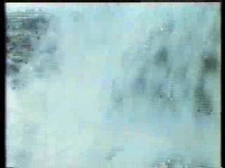 Tarzan, the Ape Man (the Indian version)