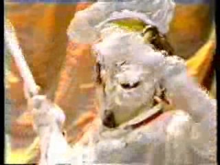 Circus Pie Fight,  Bette Midler, Crackerjack,  How Dare You