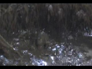 A Midsummer Night's Dream