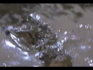 A Midsummer Night's Dream