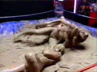 SMTV, Generation Game, Fun House, Konnie Huq gunged, Prickly Heat