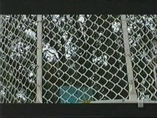 The Anna Nicole Smith show