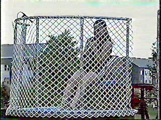 CFL Cheerleaders Dunk Tank