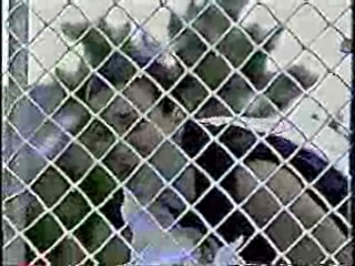 CFL Cheerleaders Dunk Tank