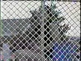 CFL Cheerleaders Dunk Tank