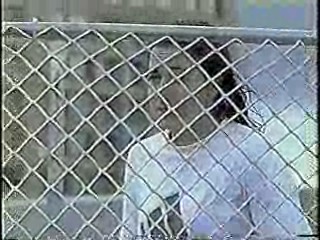 CFL Cheerleaders Dunk Tank