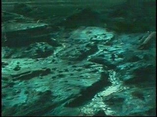 Next Top Model,  Catwoman