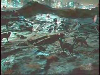 Next Top Model,  Catwoman