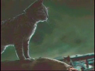 Next Top Model,  Catwoman