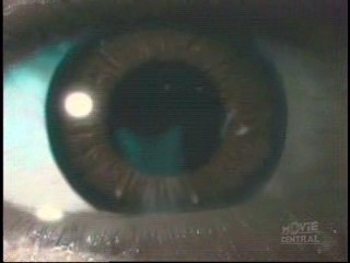 Next Top Model,  Catwoman