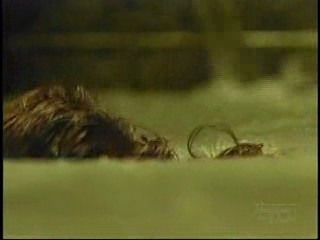 Love Me If You Dare,  I Love the 80's