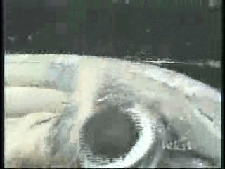 Home Alone 4, Eye For An Eye