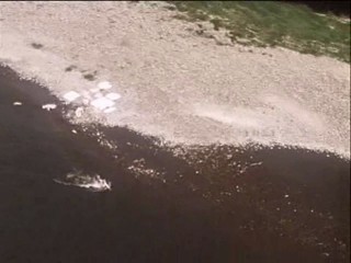 Princess Jasnenka and Flying Shoemaker