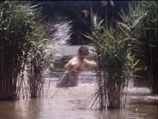 Princess Jasnenka and Flying Shoemaker