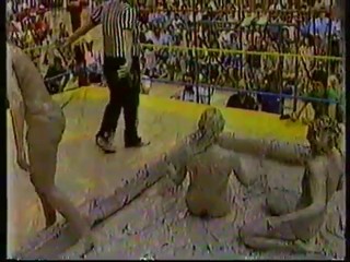 Battle Royal Pro Wrestling