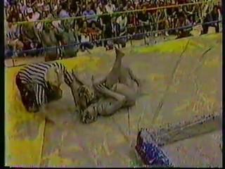 Battle Royal Pro Wrestling