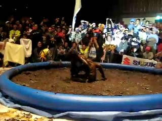 Philipinres Motorcycle Convention mudwrestling