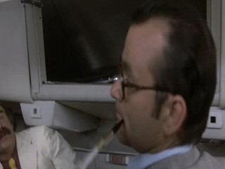 Where the Buffalo Roam