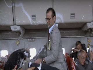 Where the Buffalo Roam