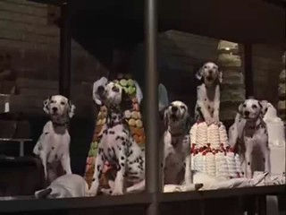102 Dalmatians