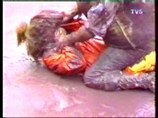 French TV: Mud festival,  Pie scene,  Disney Club