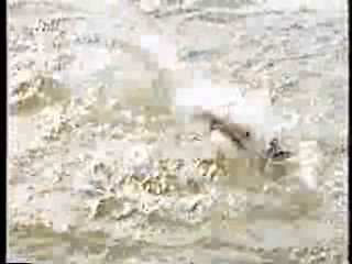 Punk Video,  German TV drama