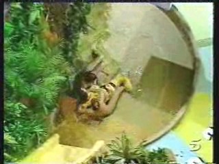 El Gran Juego de la Oca