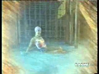 Stelle Suir Acqua - Aquatic Show