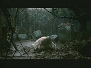 Kelly Clarkson Muddy Video