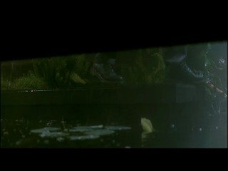 When a stranger calls