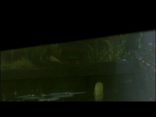 When a stranger calls