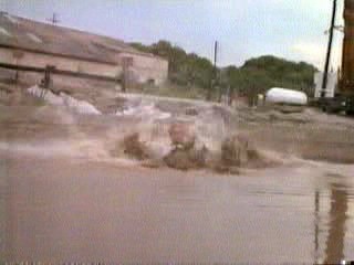 undercover blues sceen