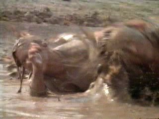 undercover blues sceen