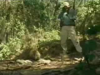 Sheena - Stranded in the Jungle