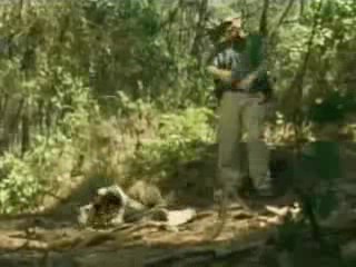 Sheena - Stranded in the Jungle