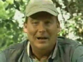 Sheena - Stranded in the Jungle