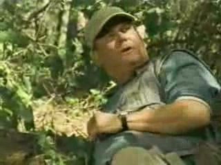 Sheena - Stranded in the Jungle