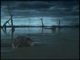 Ayumi Hamasaki Commercial