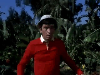 Gilligan's Island Mud Bath