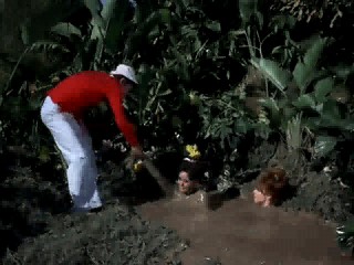Gilligan's Island Mud Bath