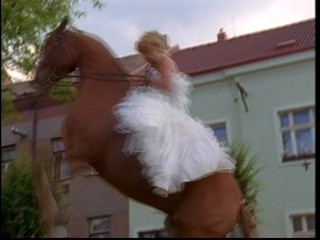 Prince and Me 2 (2006)