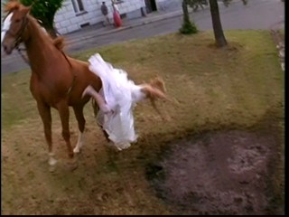 Prince and Me 2 (2006)